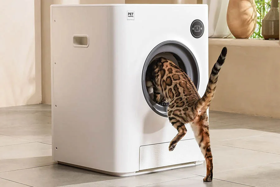 best cat litter box for large cats