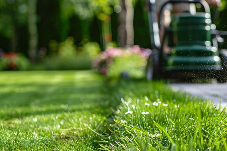 cordless lawnmowers